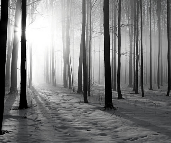 Winter Solstice